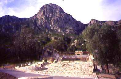 Zaghouan nymphee.jpg